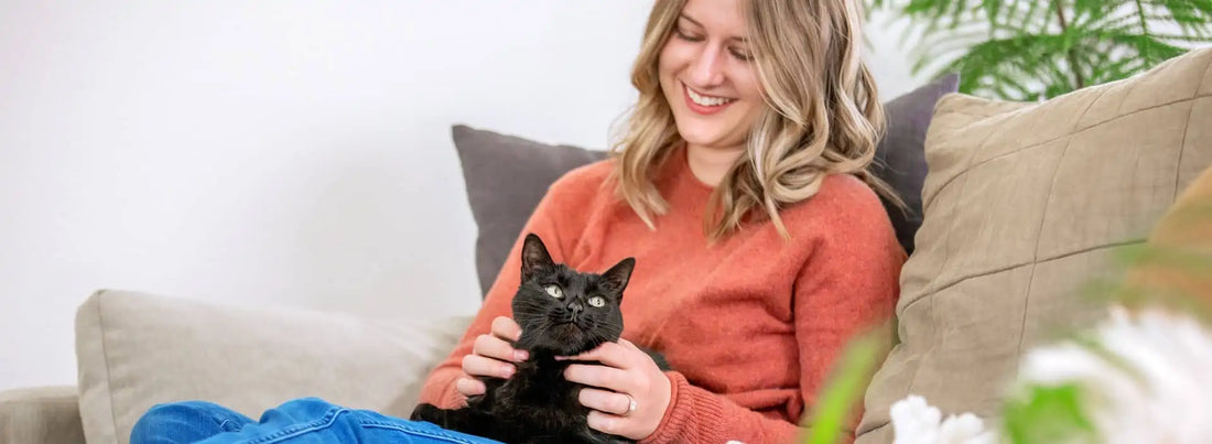 Why Feeding Your Indoor Cat Wet Food is So Important