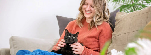 Why Feeding Your Indoor Cat Wet Food is So Important
