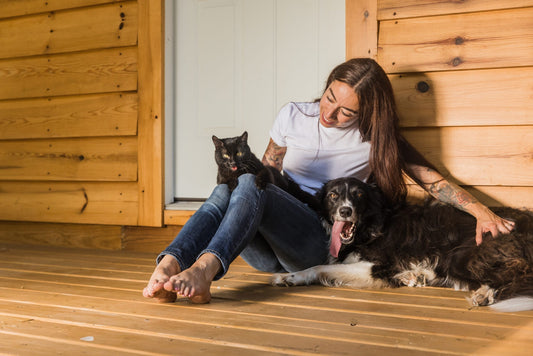Keep Pets Safe and Happy During Summer Celebrations