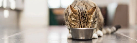 What’s the Difference Between Weight Management and Weight Maintenance — And Why It Matters