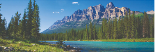 How Do We Go Above and Beyond With ACANA Pet Food?