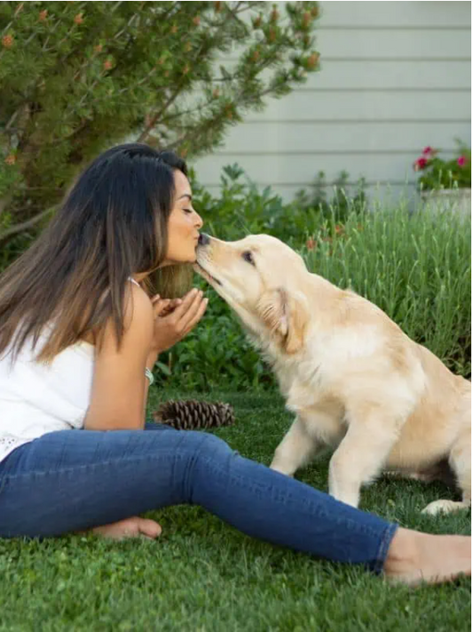 Valentine’s Day With Your Dog