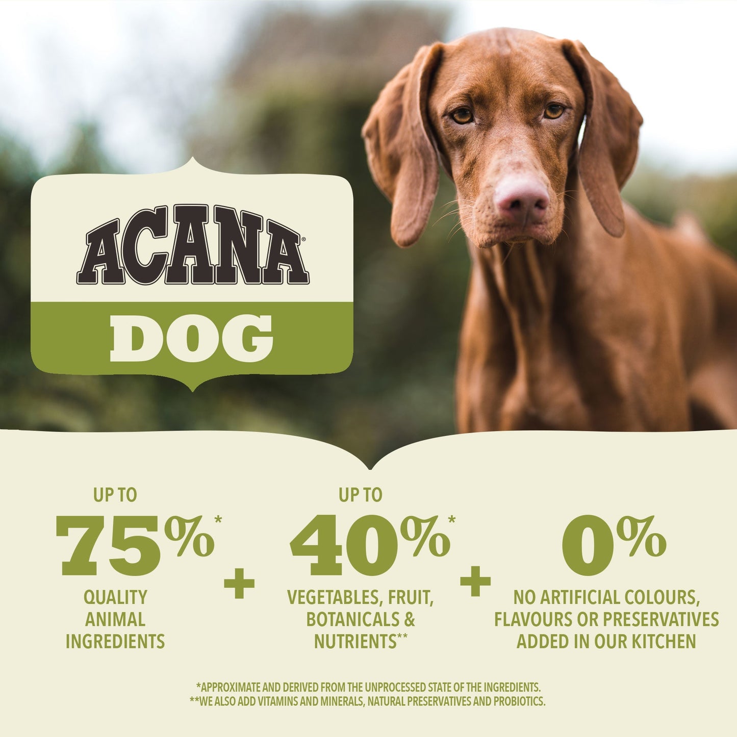 Acana Adult Small Breed