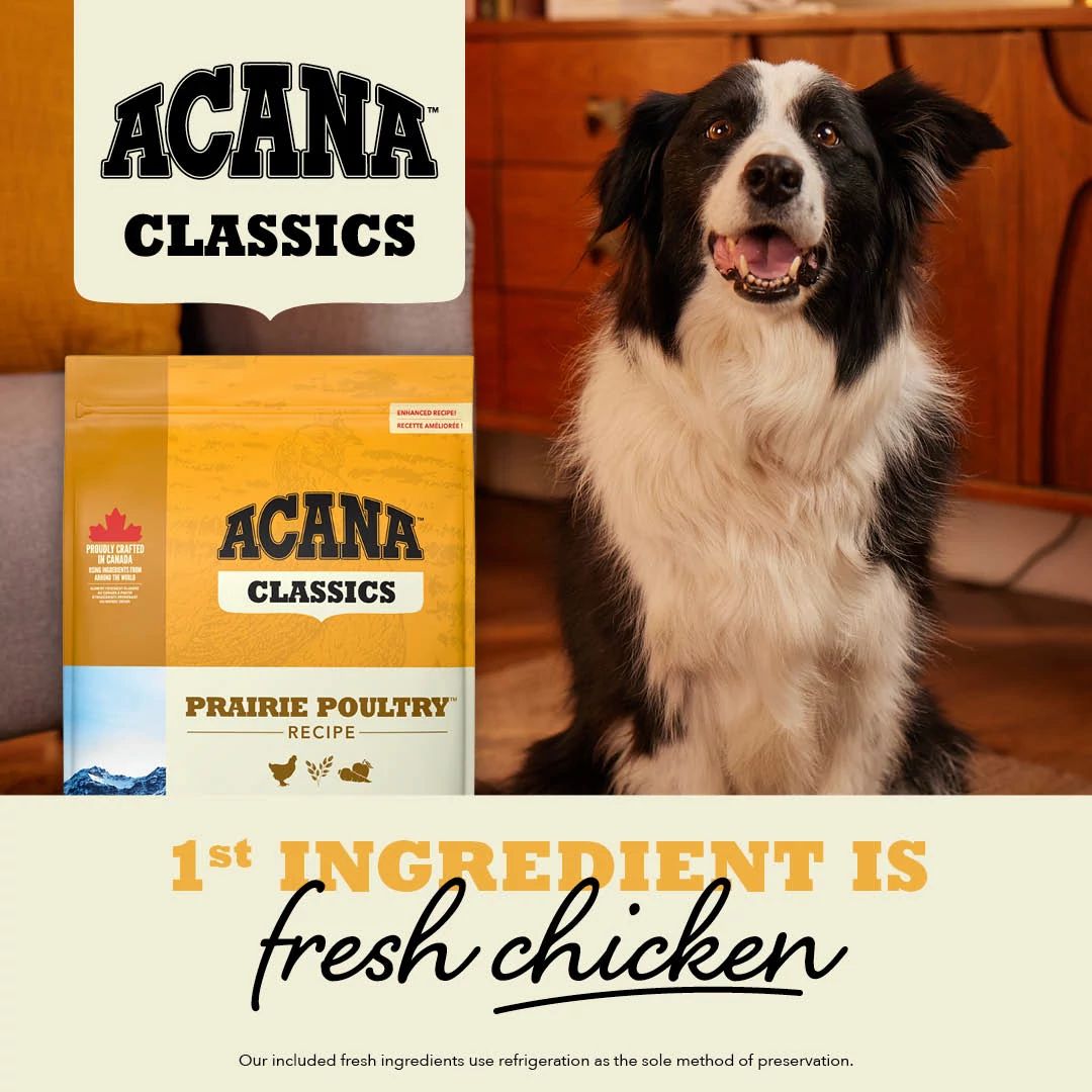 Acana Classecs Prairie Poultry